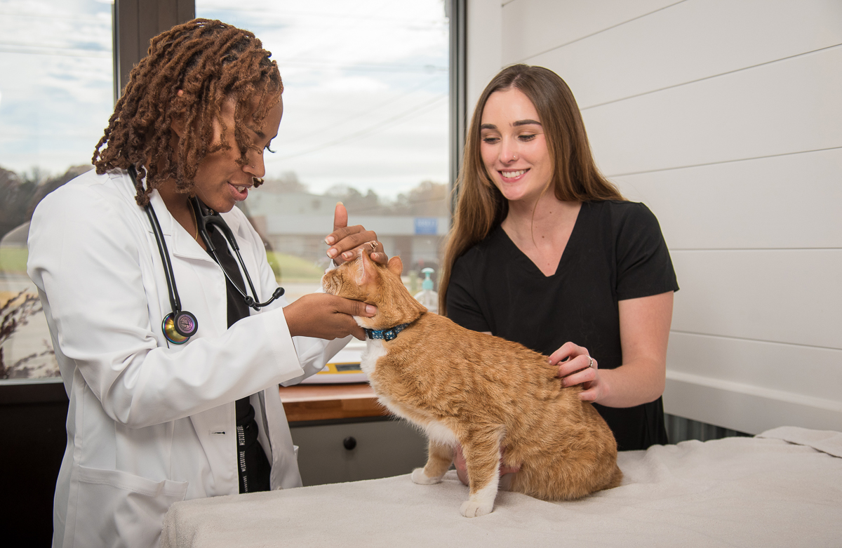 Veterinarian in Mooresville, NC