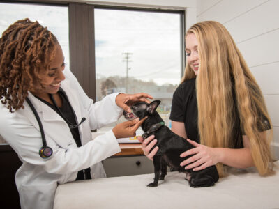 Randall_Vet_Hospital-7758