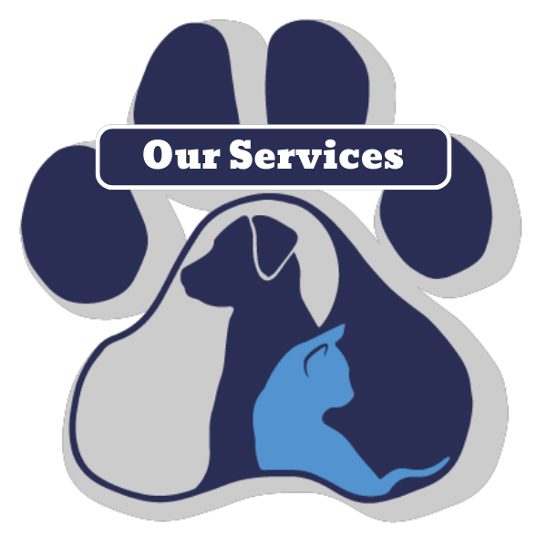 Our Services - Veterinarian in Mooresville, NC