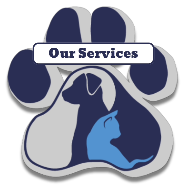 Our Services - Veterinarian in Mooresville, NC