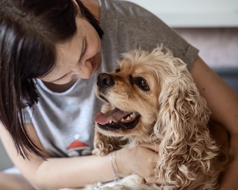 Senior Pet Care in Mooresville, NC