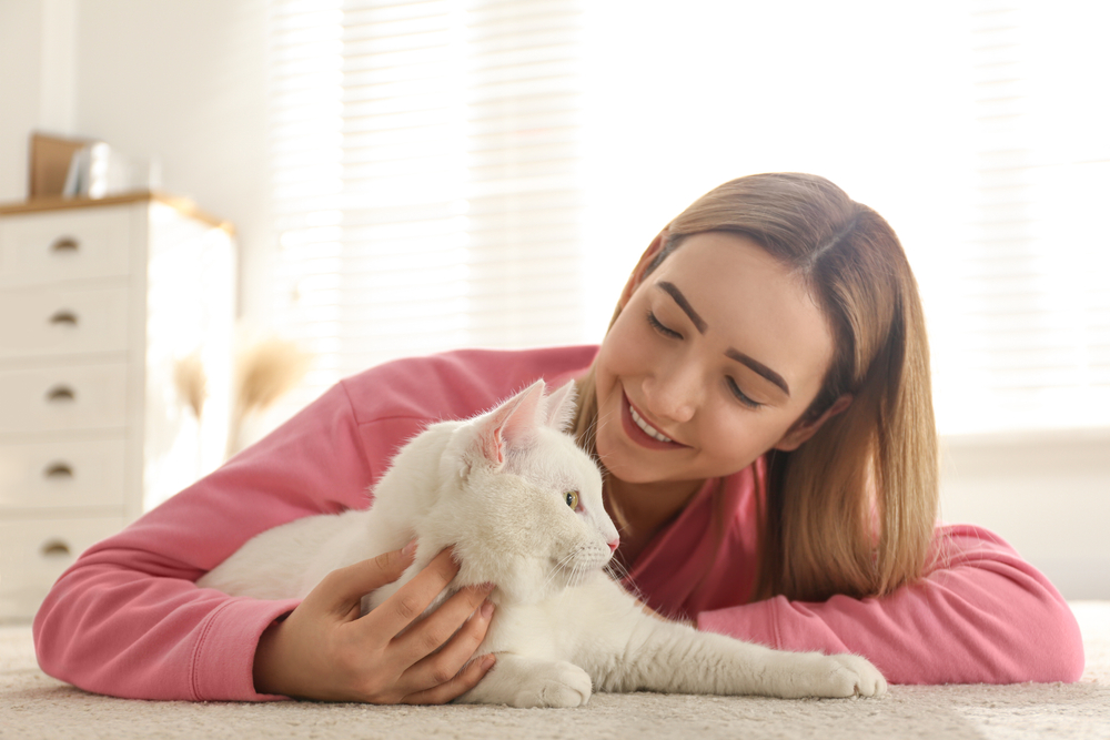 Pet Urgent Care in Mooresville, NC