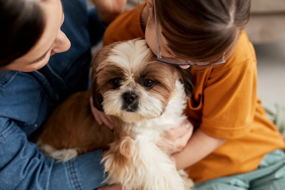  Senior Pet Care in Mooresville, NC