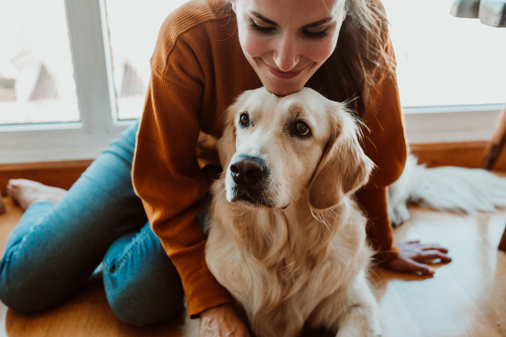 Pet Diagnostics in Mooresville, NC