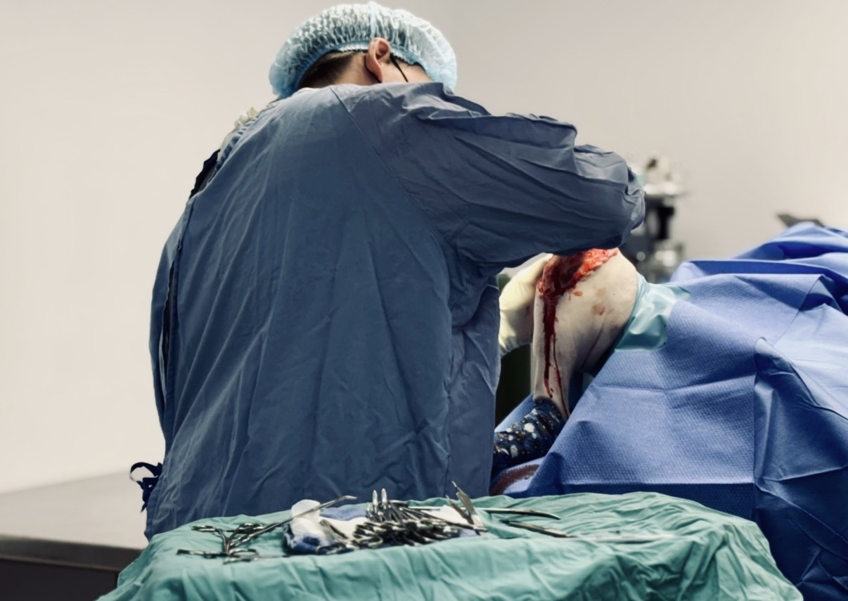 Veterinary Orthopedic Surgery in Mooresville, NC